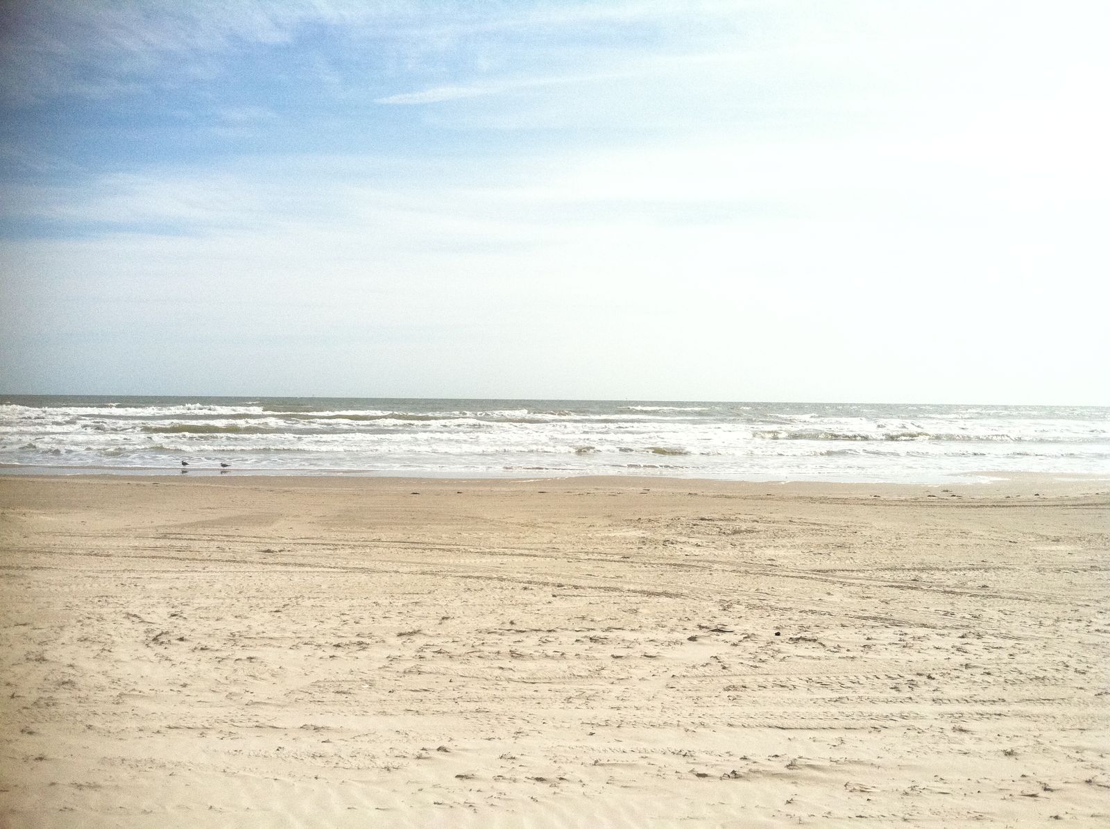 Mustang Island beach and flats near Port Aransas