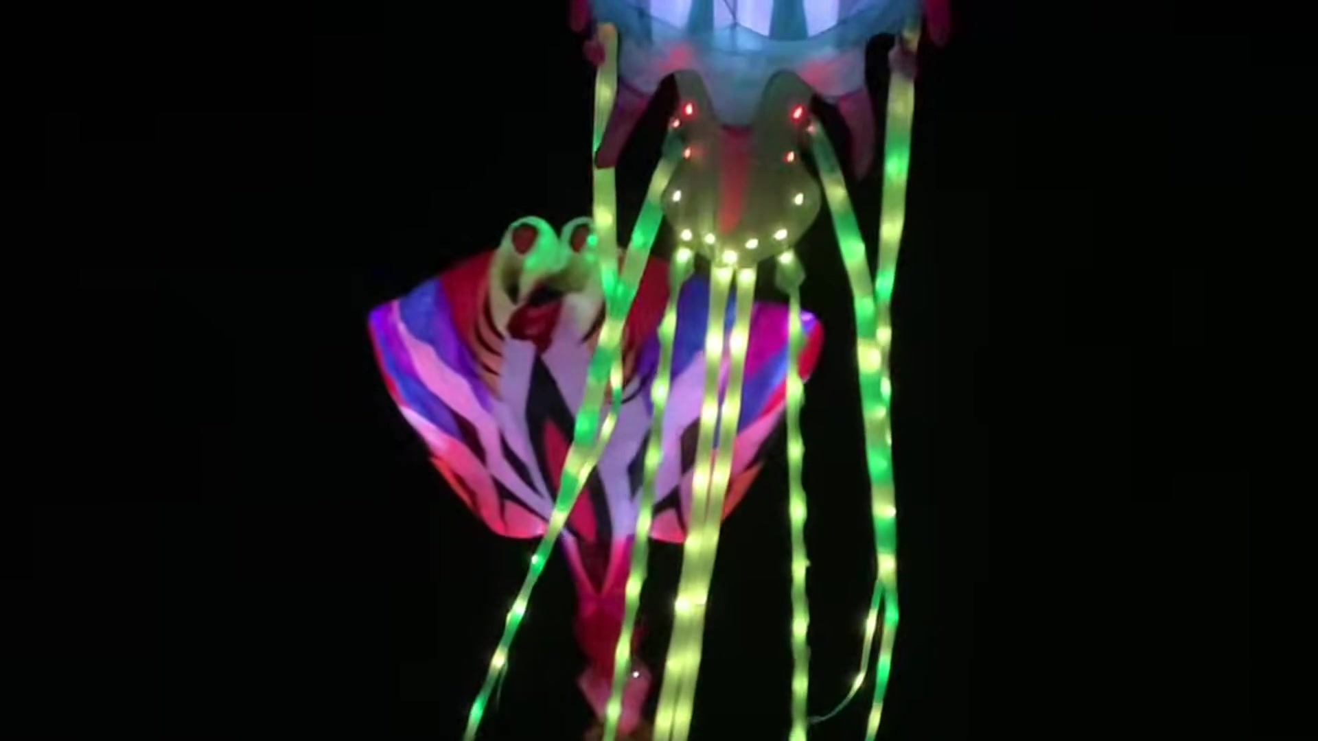 Southern Lights LED octopus kite glowing over Port Aransas beach at night