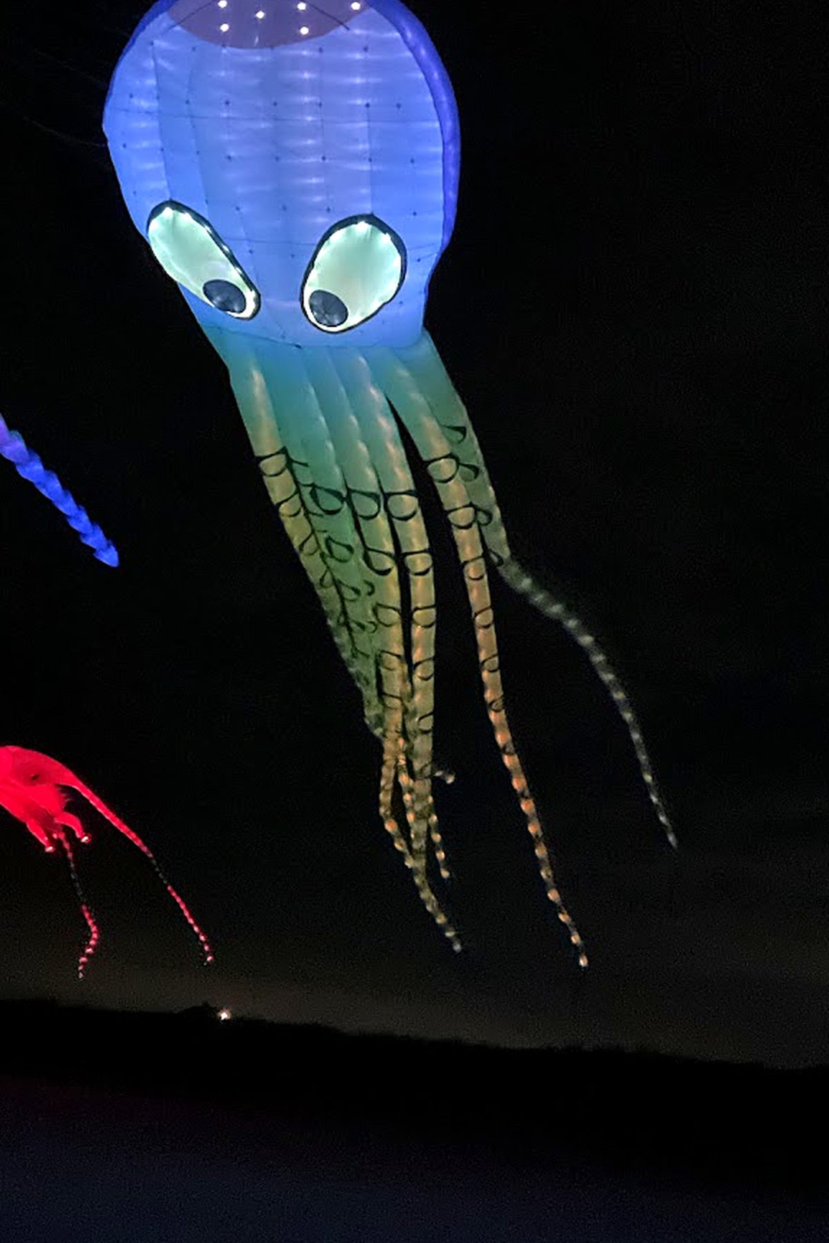 Southern Lights LED octopus kite glowing at night over Port Aransas beach